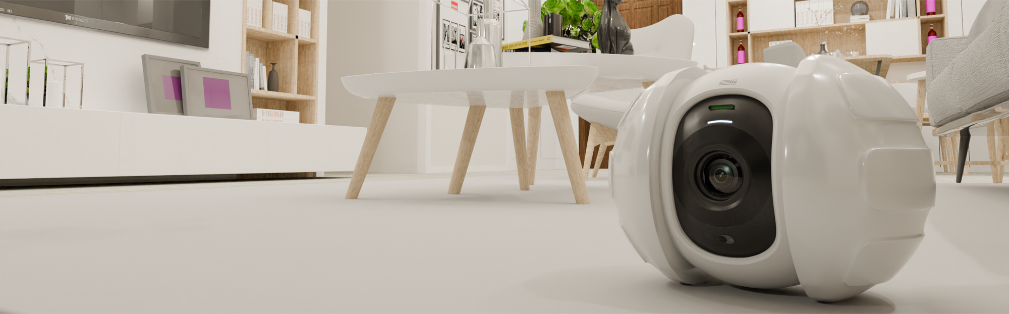 MoMo companion robot in a living-room environment